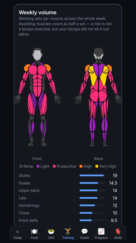 Training: weekly working sets shown on a muscle map, from none through to very high.